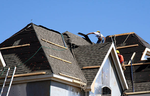 Best Roof Moss and Algae Removal  in Richmond, IL