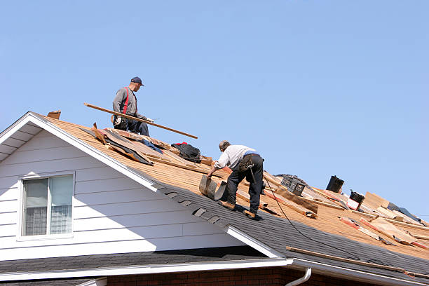 Best Roof Leak Repair  in Richmond, IL